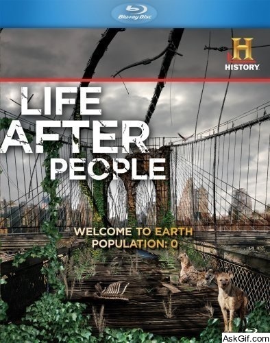 Life After People