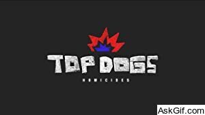 Top Dogs: homicides
