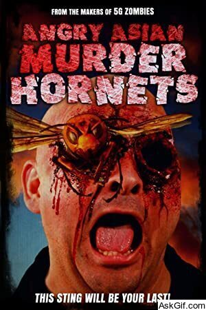 Angry Asian Murder Hornets