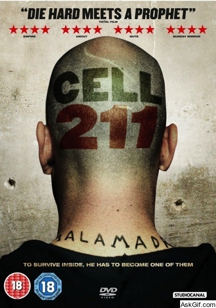Cell 211