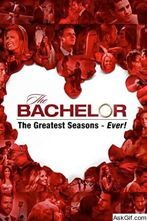 The Bachelor: The Greatest Seasons - Ever!