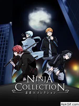 Ninja Collection