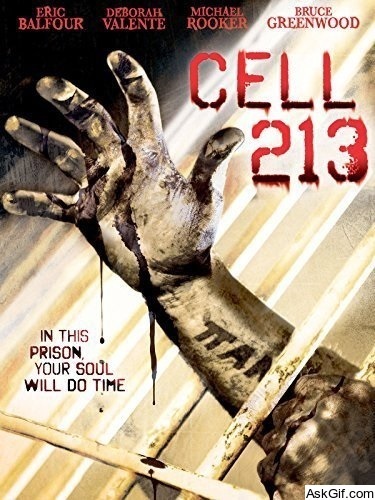 Cell 213