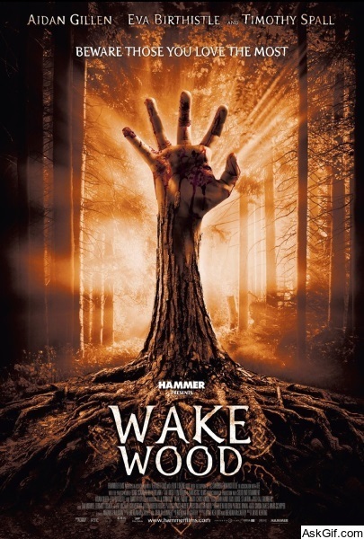 Wake Wood