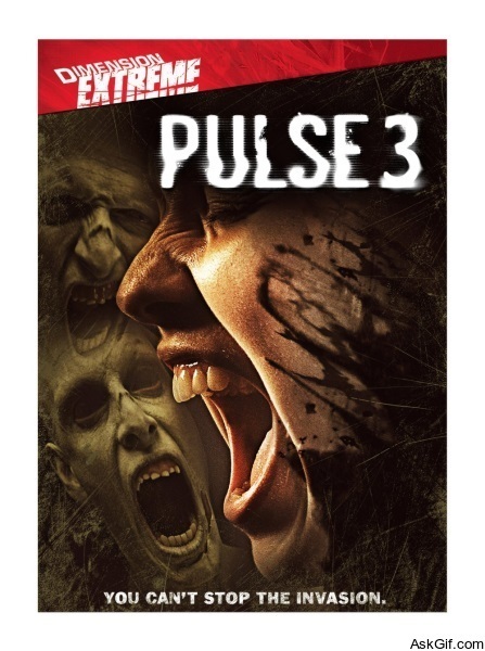 Pulse 3