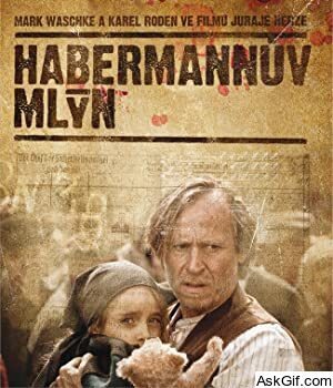 Habermann