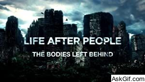 Life After People