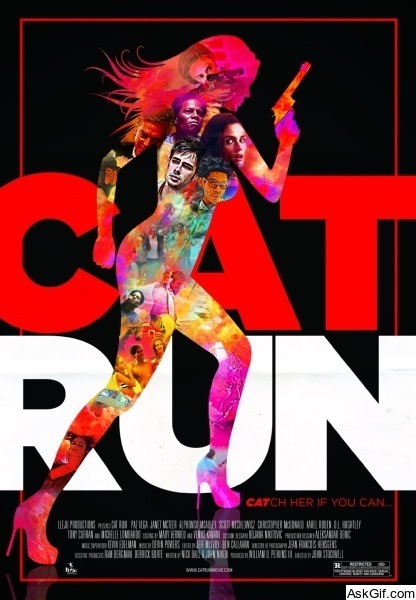 Cat Run