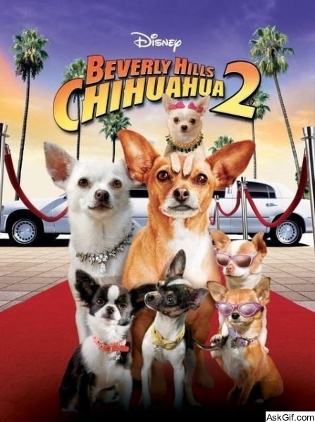 Beverly Hills Chihuahua 2