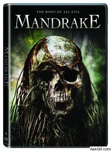Mandrake
