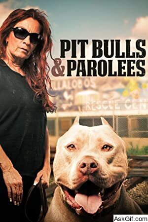 Pit Bulls and Parolees