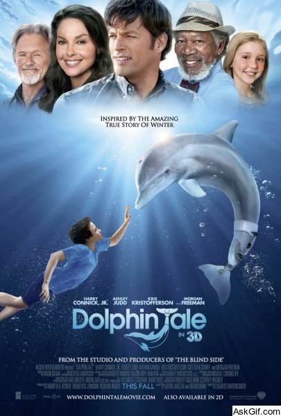 Dolphin Tale