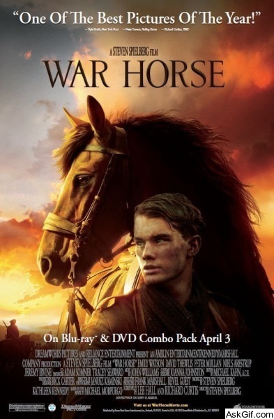 War Horse