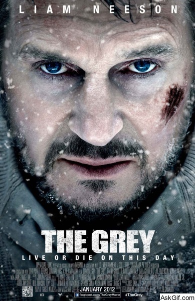 The Grey