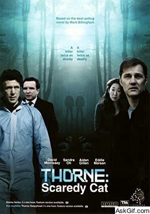 Thorne: Scaredycat