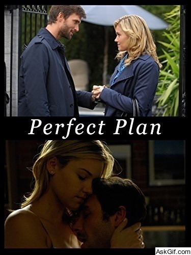Perfect Plan