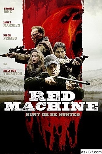 Into the Grizzly Maze