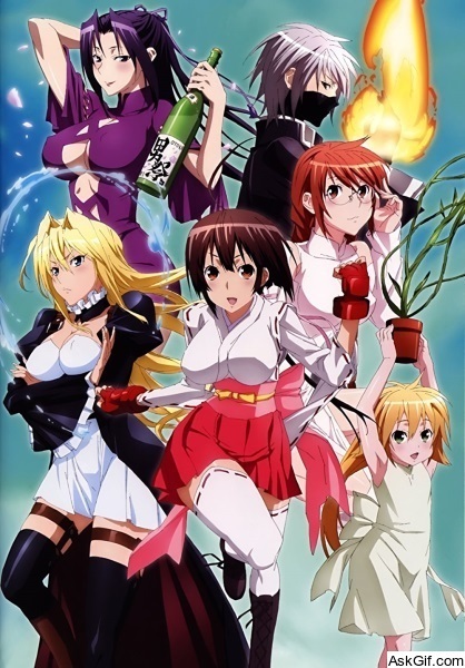 Sekirei: Pure Engagement