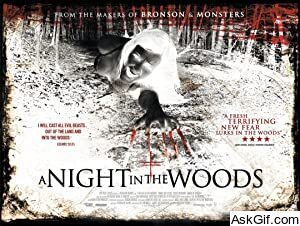 A Night in the Woods