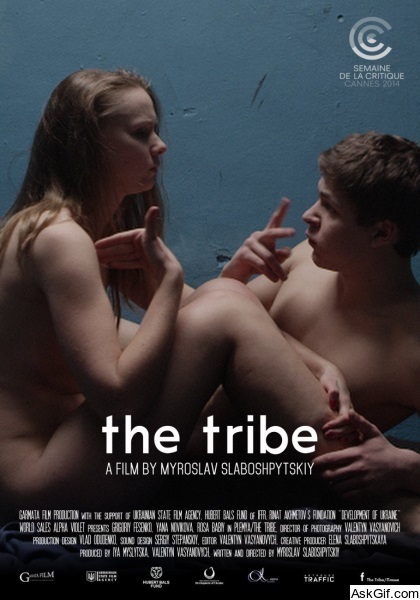 The Tribe