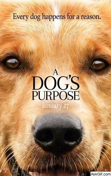 A Dog's Purpose