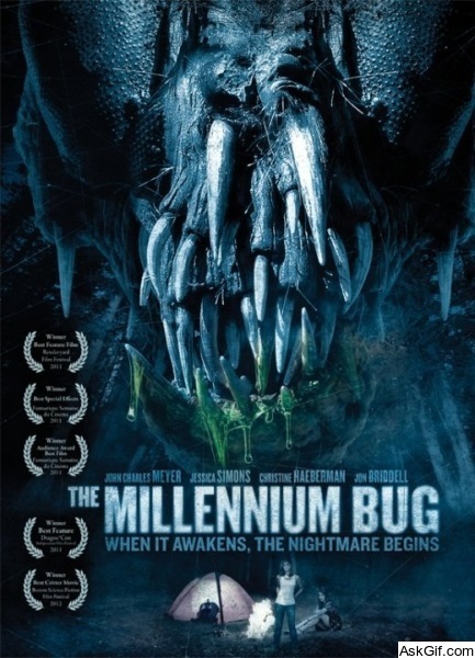 The Millennium Bug
