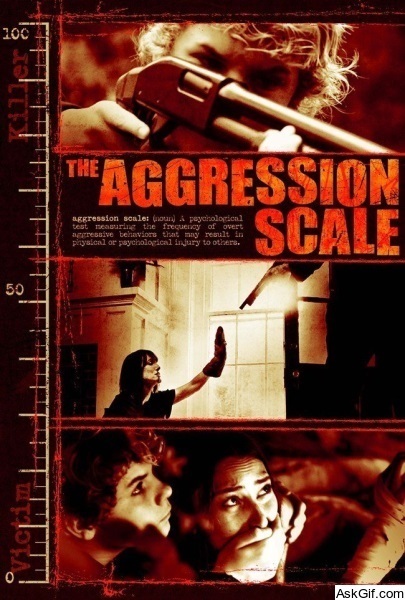 The Aggression Scale