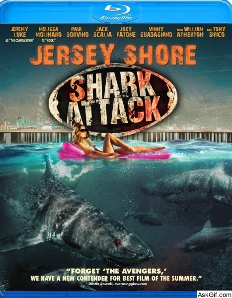 Jersey Shore Shark Attack