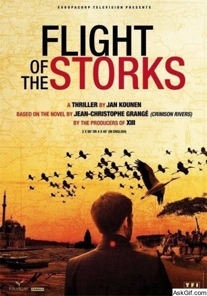 Flight of the Storks