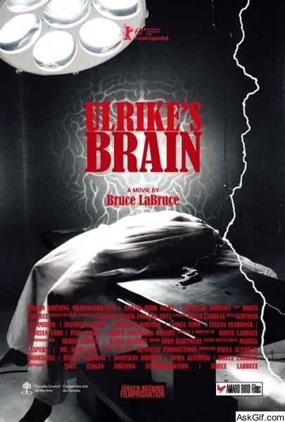 Ulrike's Brain
