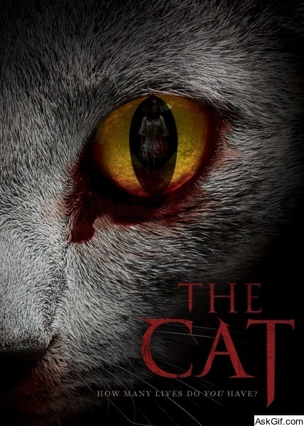 The Cat
