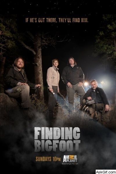 Finding Bigfoot