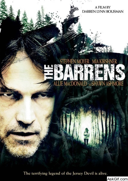 The Barrens