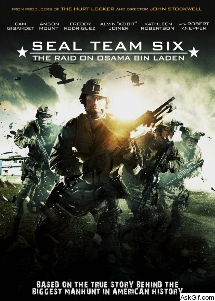 Seal Team Six: The Raid on Osama Bin Laden