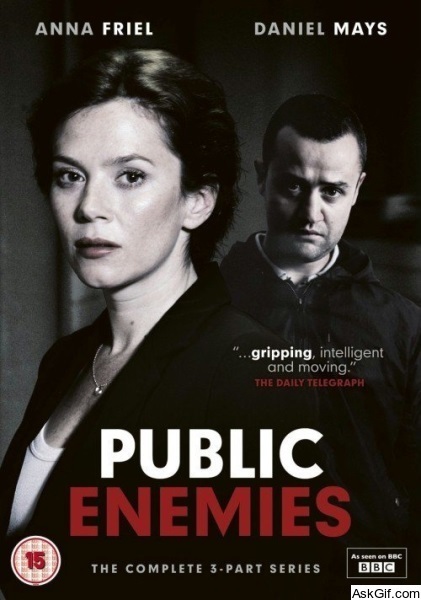 Public Enemies