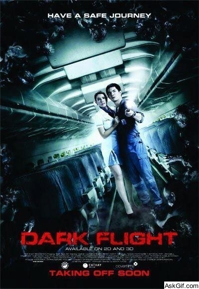 407 Dark Flight 3D