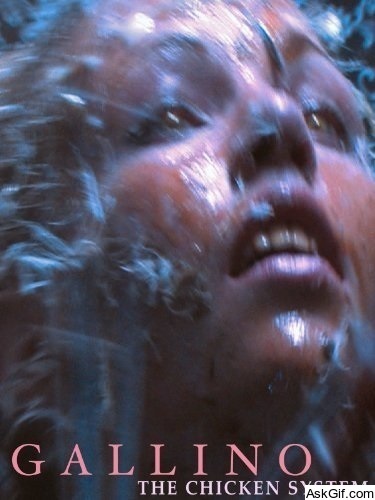 Gallino, the Chicken System