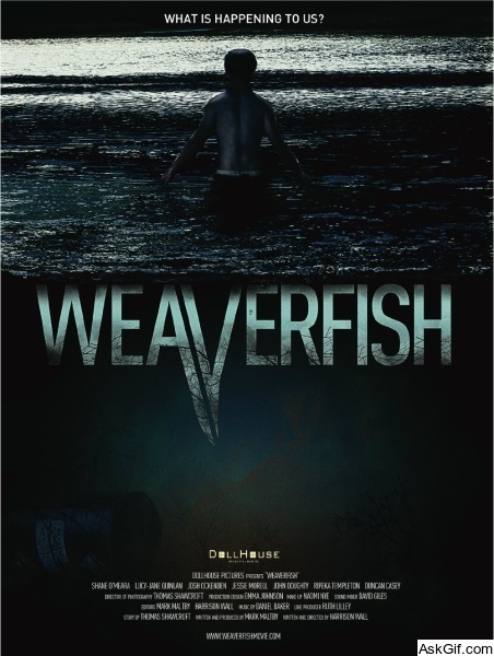 Weaverfish