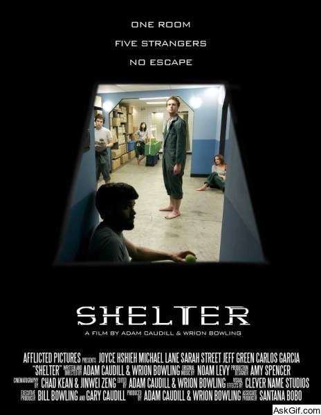 Shelter