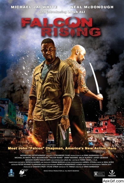 Falcon Rising