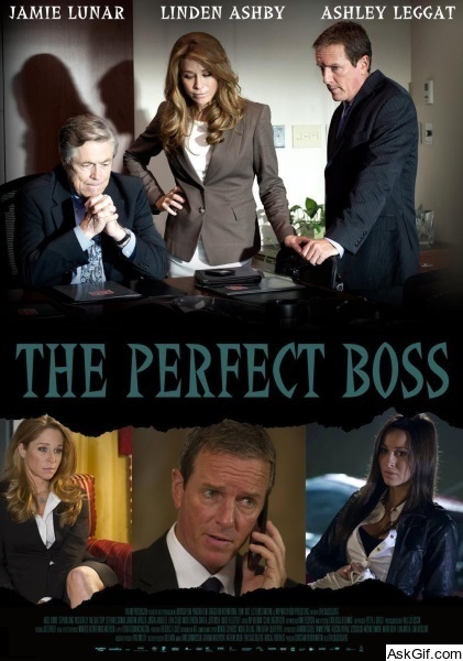 The Perfect Boss