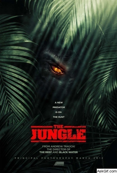 The Jungle