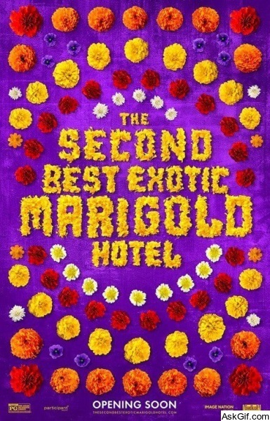 The Second Best Exotic Marigold Hotel