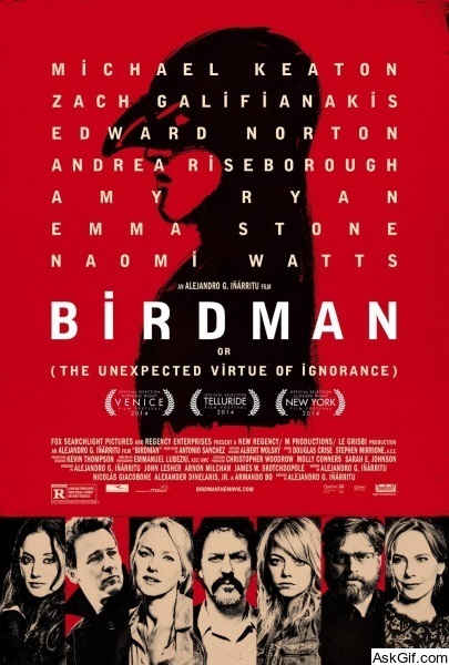 Birdman or (The Unexpected Virtue of Ignorance)