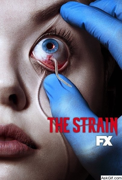 The Strain