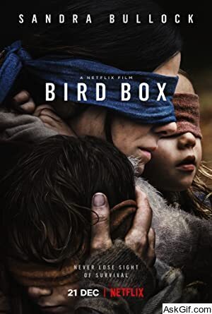 Bird Box