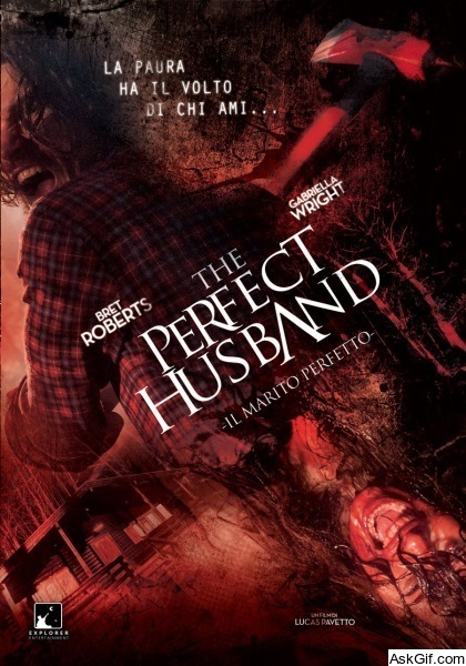 The Perfect Husband