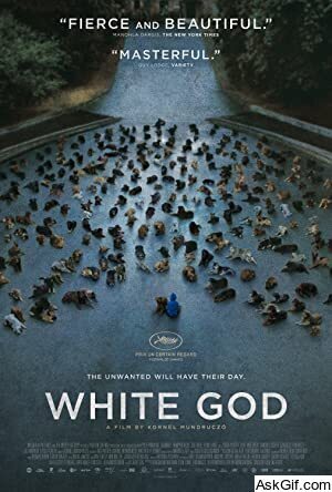 White God
