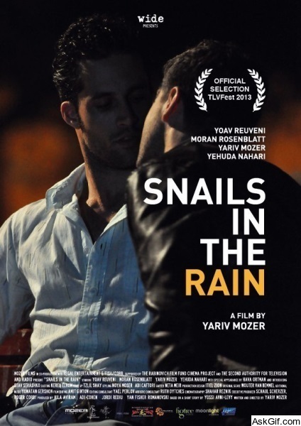 Snails in the Rain
