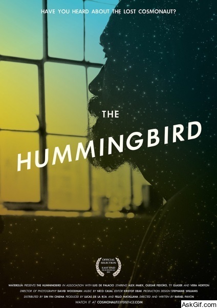 The Hummingbird
